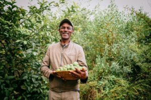 Restoring land bringing back