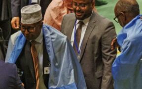 Giant step for Somalia with UN Security Council seat