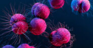 New Oral Antibiotic Works Against Drug-Resistant Gonorrhea