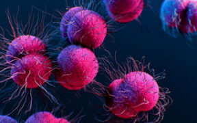 New Oral Antibiotic Works Against Drug-Resistant Gonorrhea