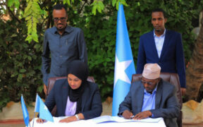 Somalia reaches out to corporates to combat climate change