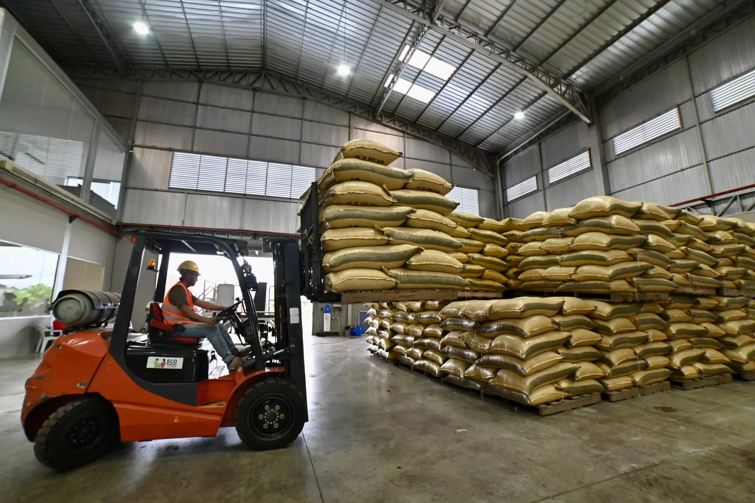 A worker arranges sacks of cocoa using a forklift at the Fumisa plant of fine aroma cocoa exporter Ecokakao in Buena Fe canton, Los Rios province, Ecuador © MARCOS PIN / AFP Photo