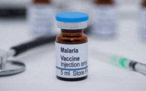 Is Africa at a Turning Point for Malaria_