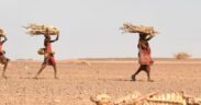 Horn of Africa Faces Devastating Hunger Crisis as Drought and Conflict Worsen-africana.news