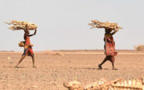 Horn of Africa Faces Devastating Hunger Crisis as Drought and Conflict Worsen-africana.news