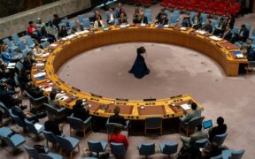 What Would it Mean for Africa to Have Two Permanent UN Security Council Seats_-africana.news