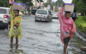 africana.news-Floods in Nigeria Claim Lives and Devastate Farmland, Worsening Food Insecurity