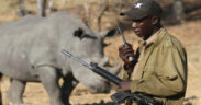 Illegal Wildlife Trade_ A Growing Global Crisis-africana.news