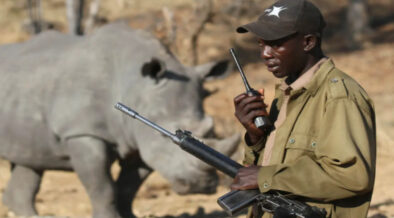 Illegal Wildlife Trade_ A Growing Global Crisis-africana.news