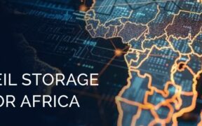 https___africana.news_leil-storage-green-file-storage-for-africa_