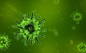 https___africana.news_rwanda-claims-success-in-marburg-virus-fight-zero-new-infections-in-recent-days_