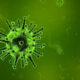 https___africana.news_rwanda-claims-success-in-marburg-virus-fight-zero-new-infections-in-recent-days_