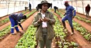 Empowering the Deaf Community through a Transformative Farming Initiative in South Africa-1