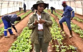 Empowering the Deaf Community through a Transformative Farming Initiative in South Africa-1