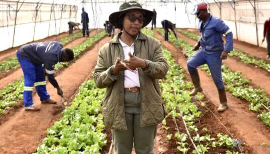 Empowering the Deaf Community through a Transformative Farming Initiative in South Africa-1