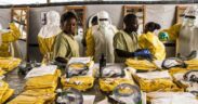 https___africana.news_urgent-action-required-new-ebola-outbreak-in-the-democratic-republic-of-congo_