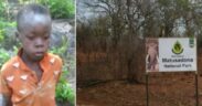 https___africana.news_8-year-old-boy-survives-five-days-alone-in-zimbabwes-game-park_