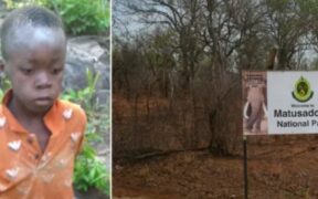 https___africana.news_8-year-old-boy-survives-five-days-alone-in-zimbabwes-game-park_