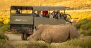 https___africana.news_unveiling-uber-safari-in-south-africa-a-game-changer-for-eco-tourism-enthusiasts_