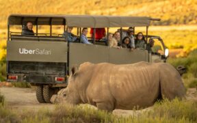 https___africana.news_unveiling-uber-safari-in-south-africa-a-game-changer-for-eco-tourism-enthusiasts_