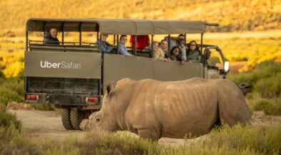 https___africana.news_unveiling-uber-safari-in-south-africa-a-game-changer-for-eco-tourism-enthusiasts_