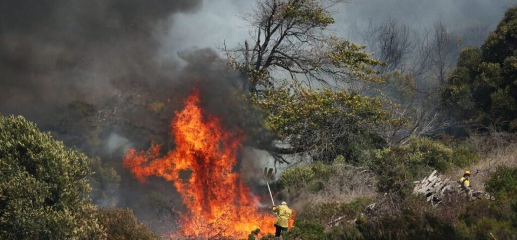 https___africana.news_wildfires-on-table-mountain_