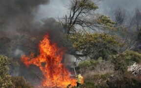 https___africana.news_wildfires-on-table-mountain_