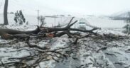 South Africa – Flood Tragedy Claims 49 Lives Amidst Widespread Devastation in the Eastern Cape