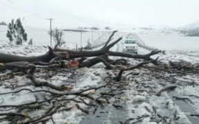 South Africa – Flood Tragedy Claims 49 Lives Amidst Widespread Devastation in the Eastern Cape