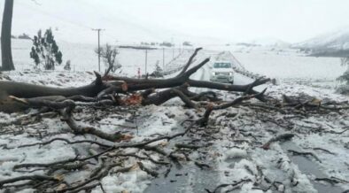 South Africa – Flood Tragedy Claims 49 Lives Amidst Widespread Devastation in the Eastern Cape