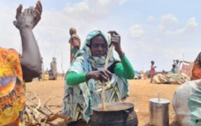 Famine Officially Declared in El Fashir and Kadugli, Sudan