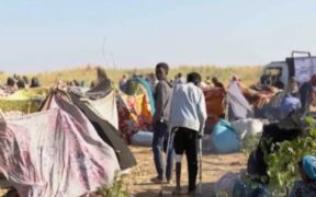 Tens of Thousands Flee El Fasher as RSF Take Control, Triggering Mass Displacement