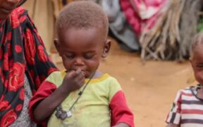 Thousands of Children at Risk of Death in Besieged El Fashir, UN Warns